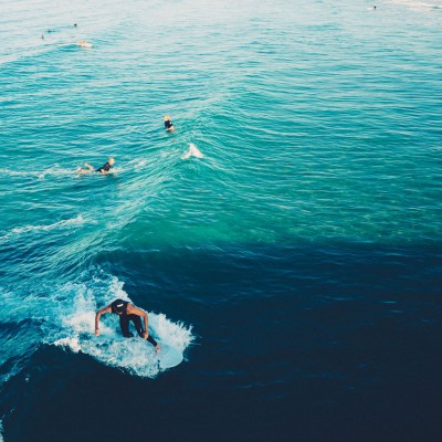 venice-surf
